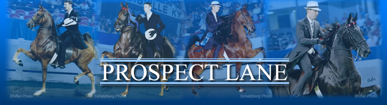 Prospect Lane